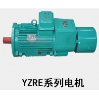 宏达YZRE系列电机-江苏宏达起重电机