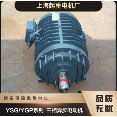上海起重电机厂有限公司专业上海起重电动机
