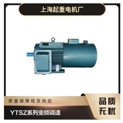 上海起重电机厂有限公司主营 YTSZ系列变频调速起重电动机